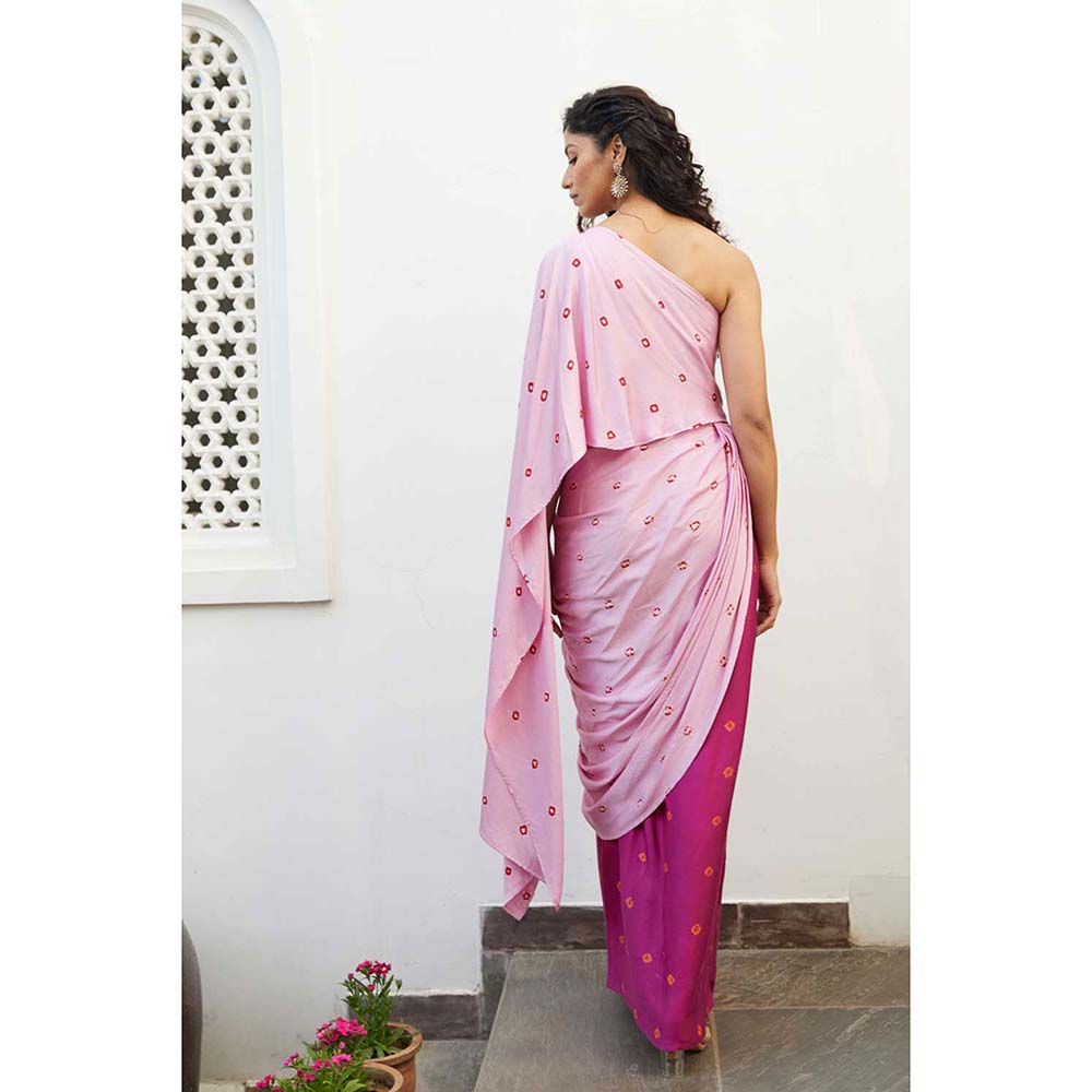 Aapro Label Lotus Concept Saree