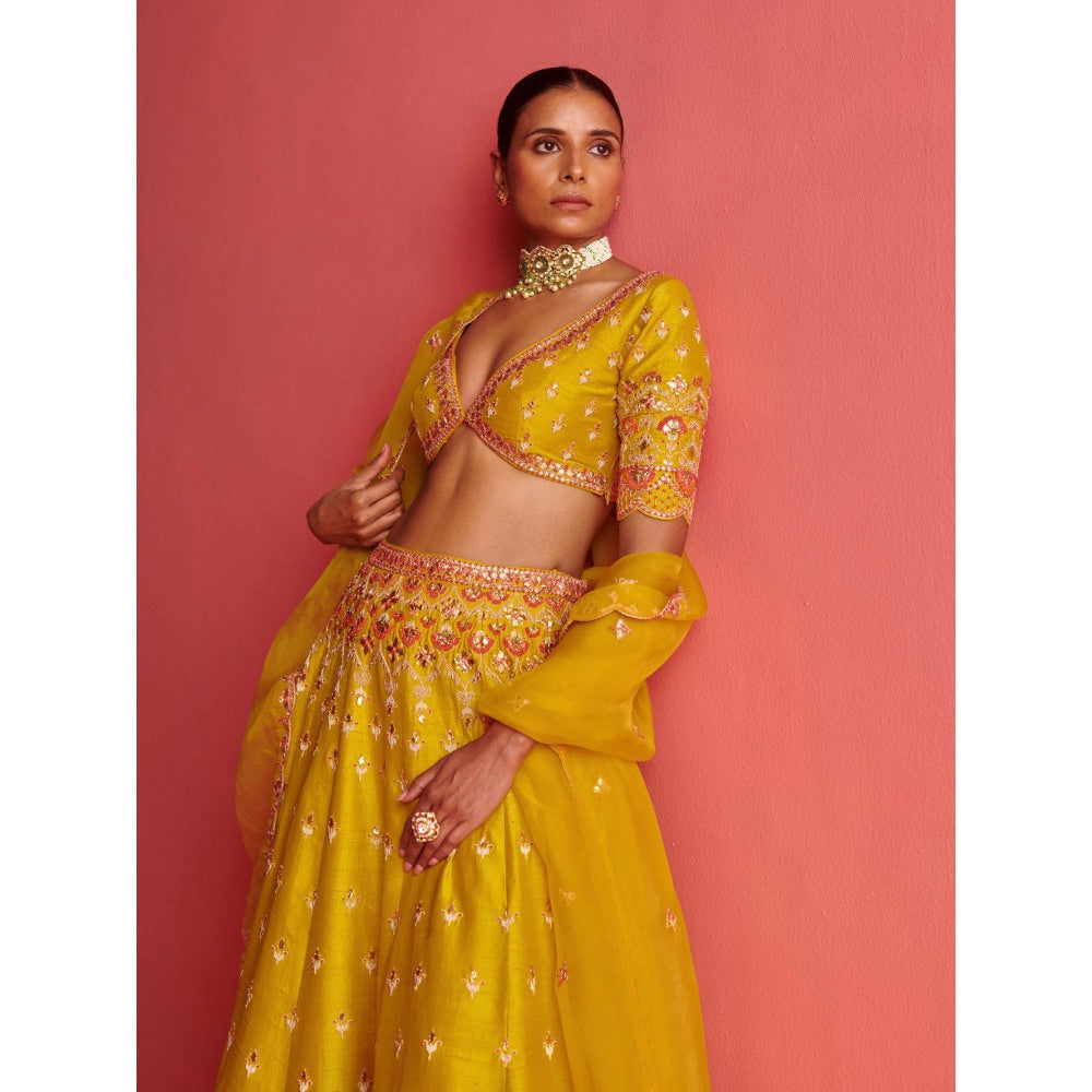 Aarti Sethia Studio Yellow Lehenga with Blouse and Dupatta (Set of 3)