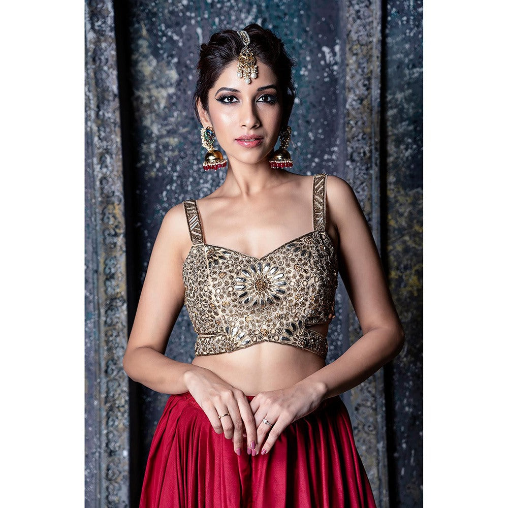 Aaryaa By Kashveen Kohli Applique Embroidered Crop Top with Red Draped Slit Skirt (Set of 2)