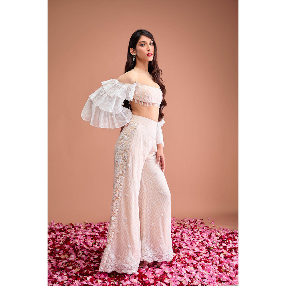 Aishwarya Tyagi Organza Jamdani Crop Top with Flared Palazzo (Set of 2)