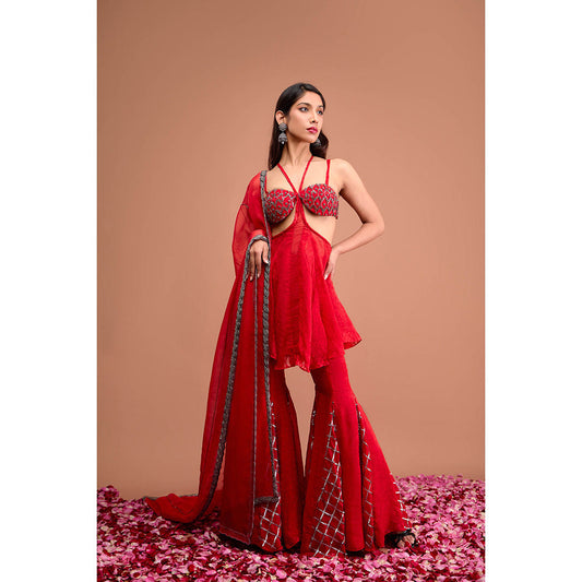 Aishwarya Tyagi Organza Jamdani Sharara with Kurti & Dupatta (Set of 3)