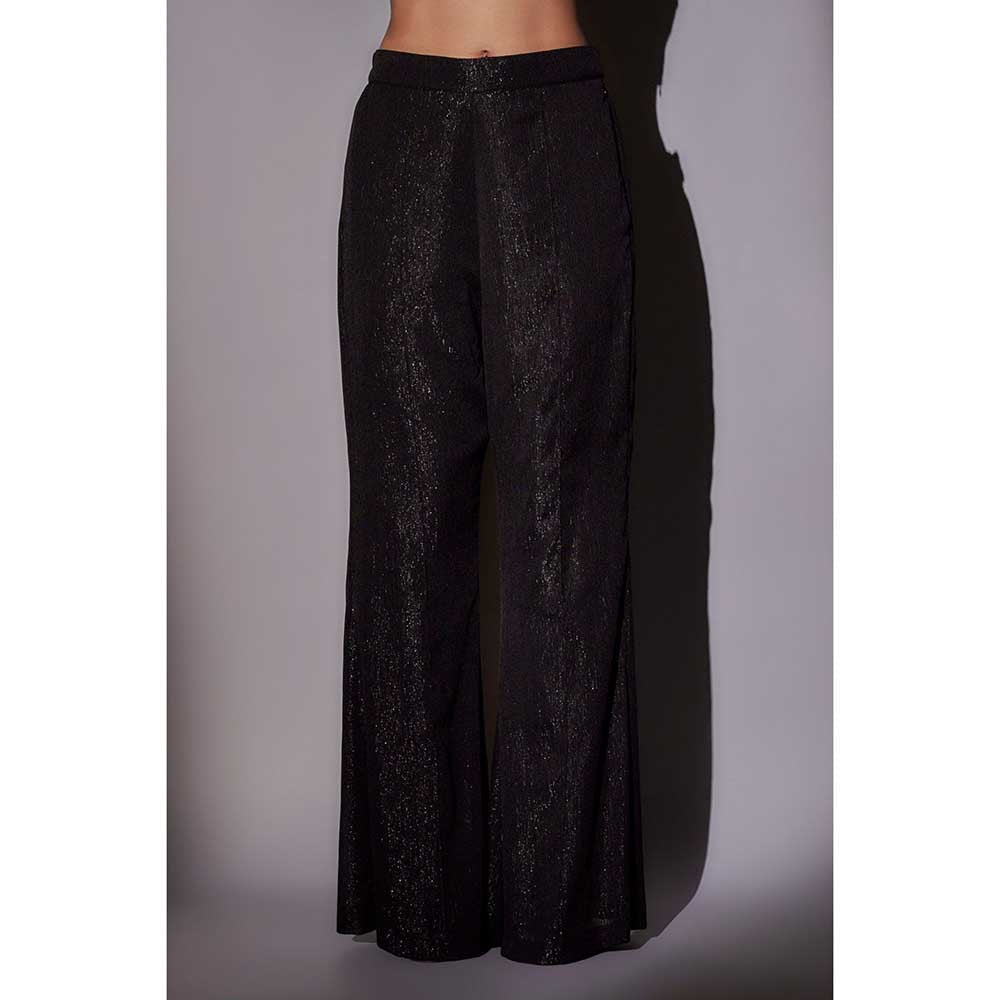 Ajiesh Oberoi Black Hand Embroidered Cape with Bustier and Pant (Set of 3)