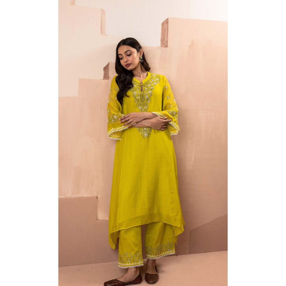 AM by Anita Mittal Yellow Alaya A-Line Kurta with Pant