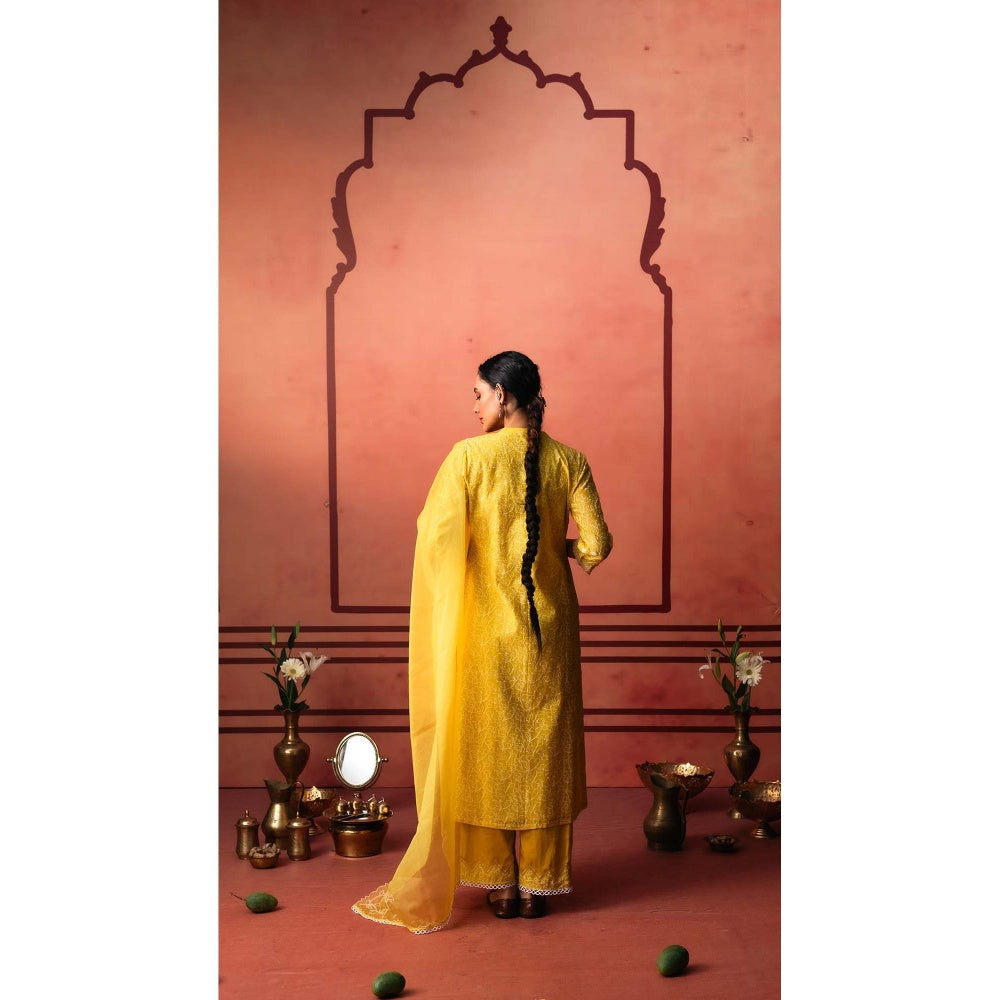 AM by Anita Mittal Yellow Kairi Kurta with Pant and Dupatta