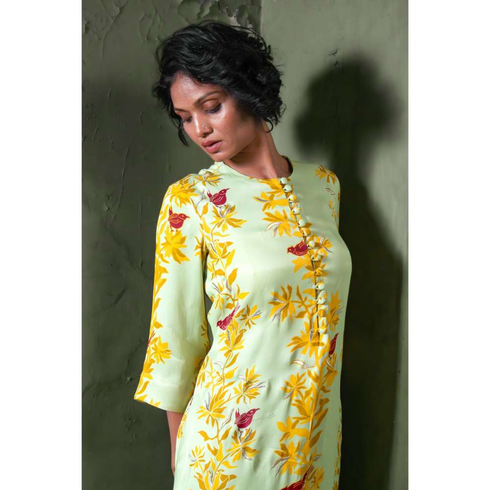 Amrood Green Long Straight Dress with Bustier (Set of 2)