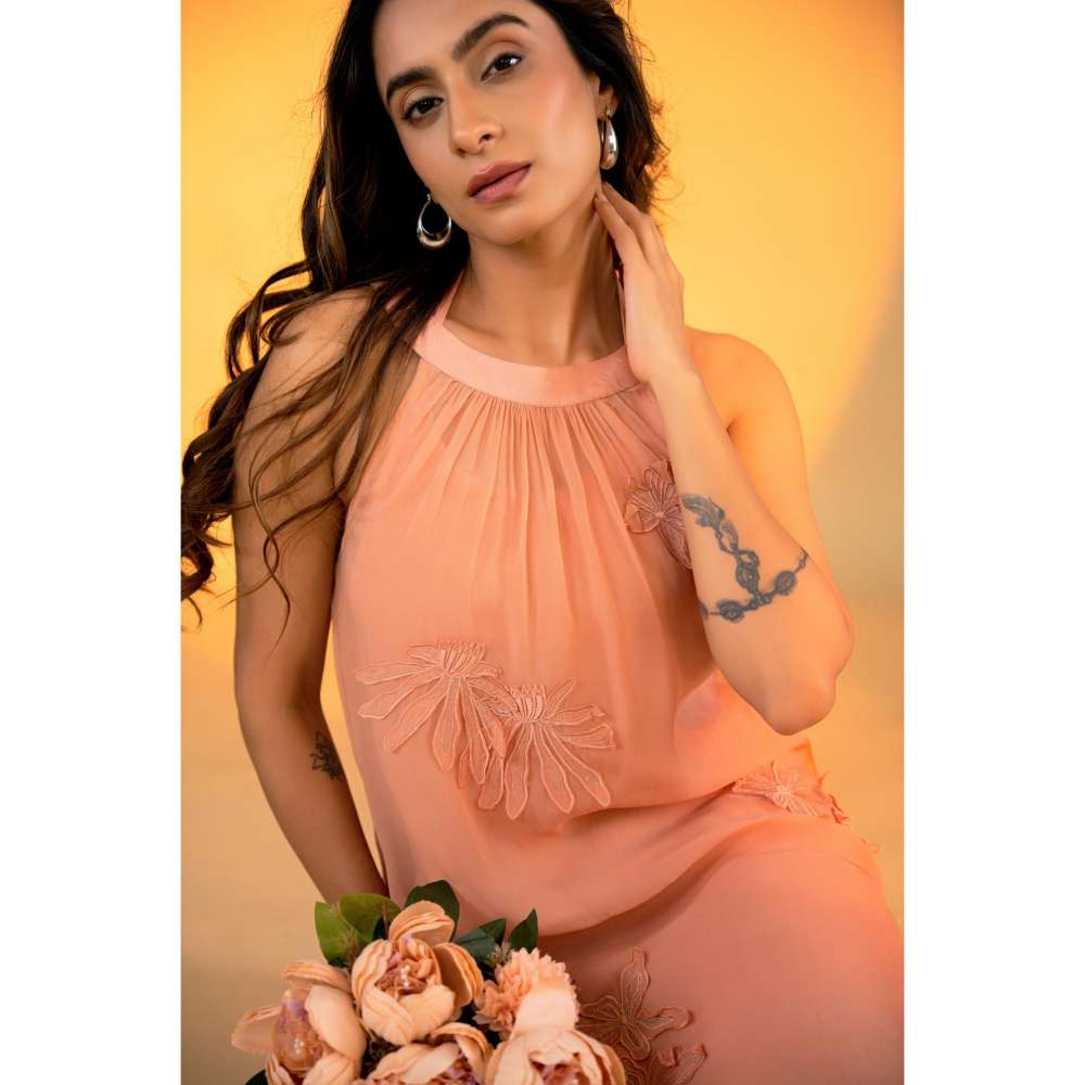 Amrood Peach Embroidered Dress with Inner (Set of 2)