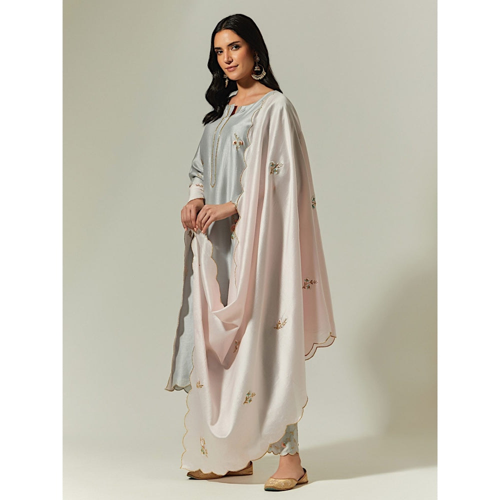 Anantaa by Roohi Trehan Light Pink Silk Chanderi Hand Embroidered Dupatta