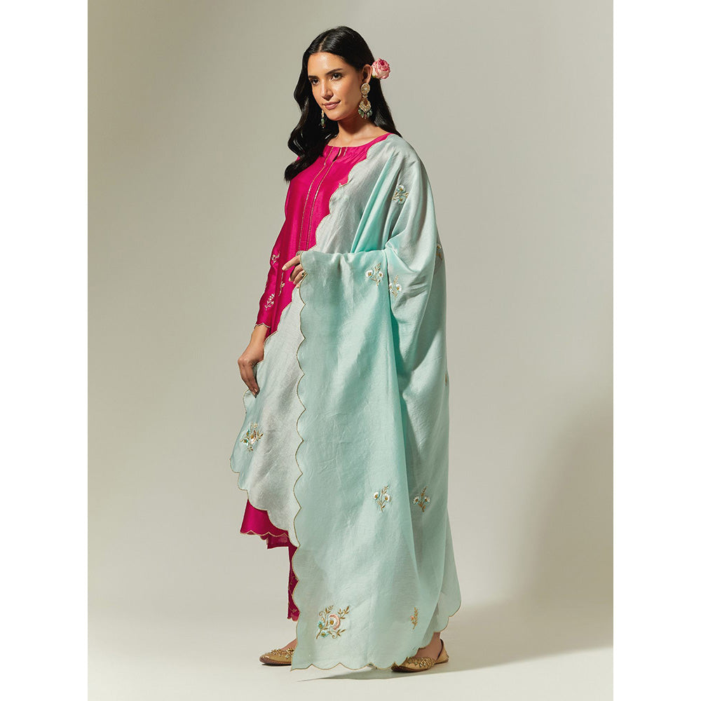 Anantaa by Roohi Trehan Fuchsia Silk Chanderi Hand Embroidered Kurta With Plackett
