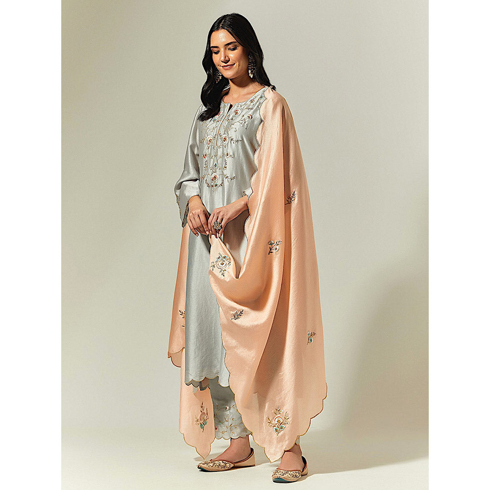 Anantaa by Roohi Trehan Grey Silk Chanderi Hand Embroidered Kurta
