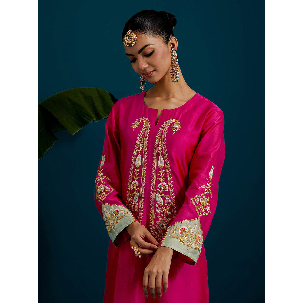 Anantaa by Roohi Trehan Pink Paisley Yoke Kurta