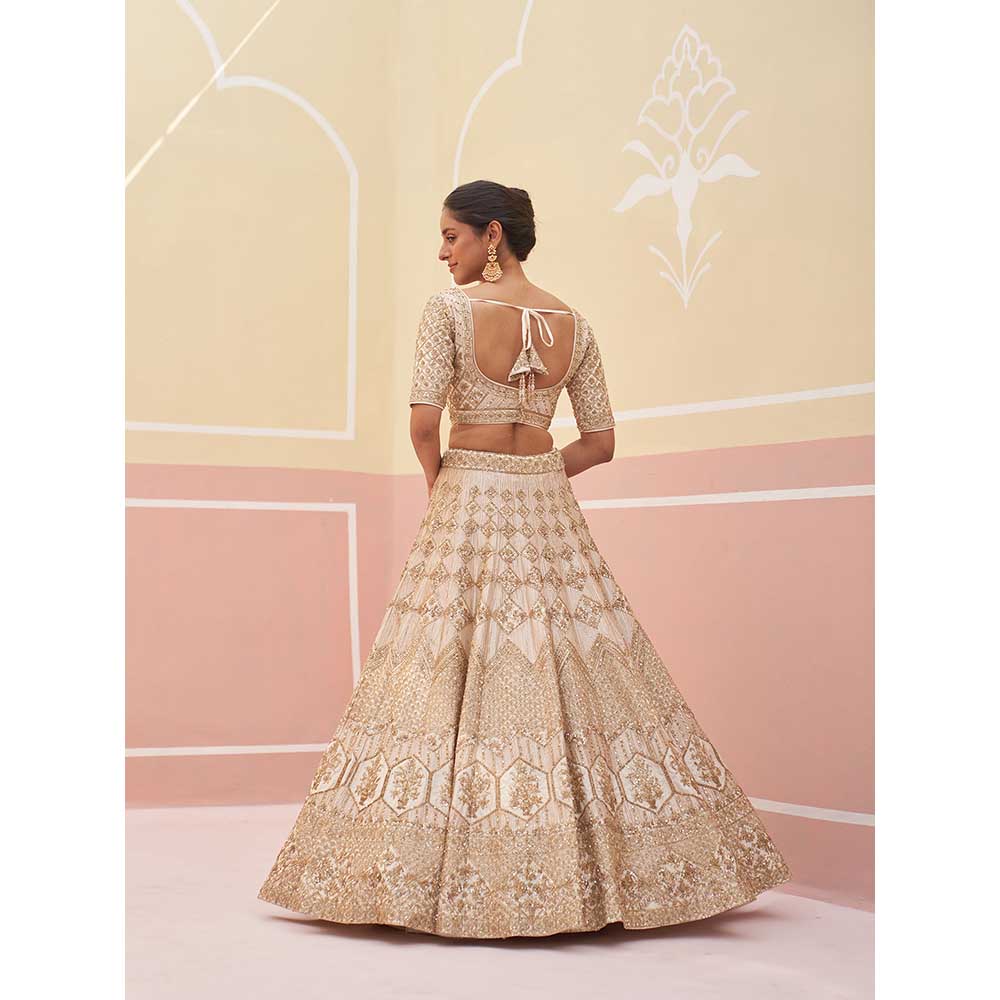 ANGAD SINGH Ivory Raw Silk Lehnga with Blouse & Dupatta (Set of 3)