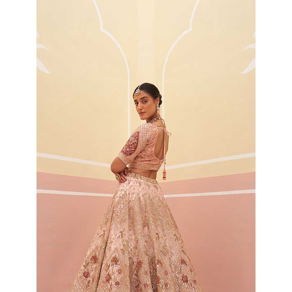 ANGAD SINGH Peach Organza Lehnga with Blouse & Dupatta (Set of 3)