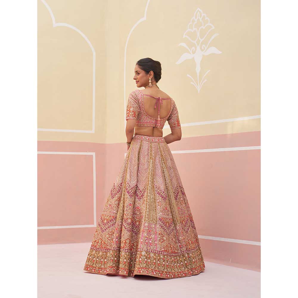 ANGAD SINGH Pink Organza Lehnga with Blouse & Dupatta (Set of 3)