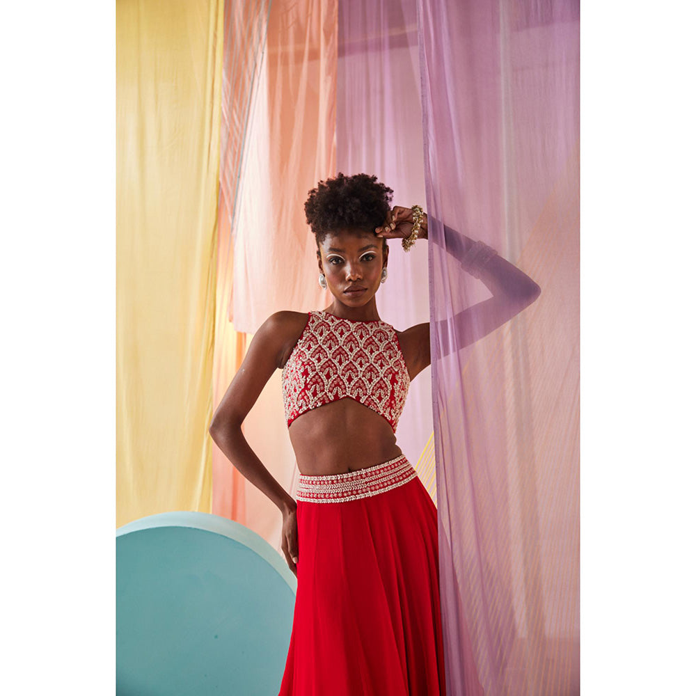 Anu Pellakuru Anaisa Embroidered Lehenga with Blouse (Set of 2)