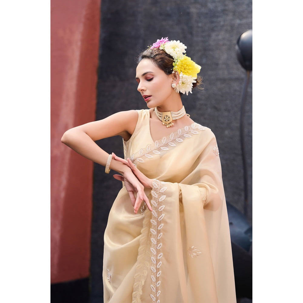 Aparnaa Beige Pearl Leaf Border Hand Embroidered Tissue Saree with Unstitched Blouse