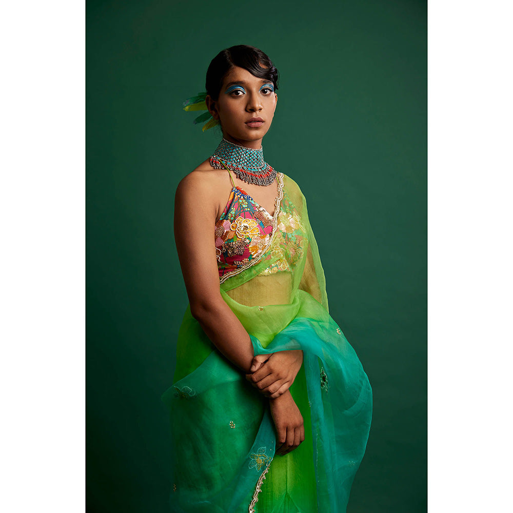 Apeksha Jain Label Green Ombre Embellished Saree with Stitched Blouse