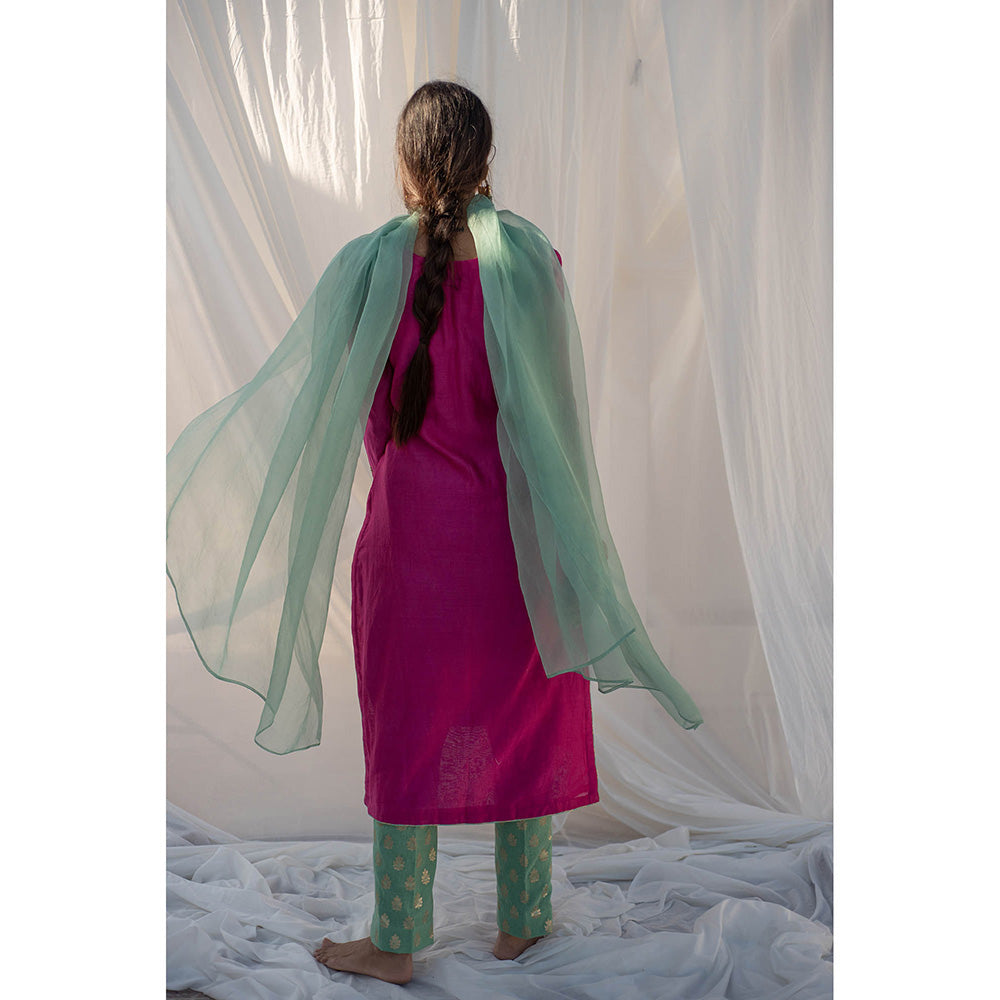 Apeksha Jain Label Rani Pink Kurta with Pant and Dupatta (Set of 3)