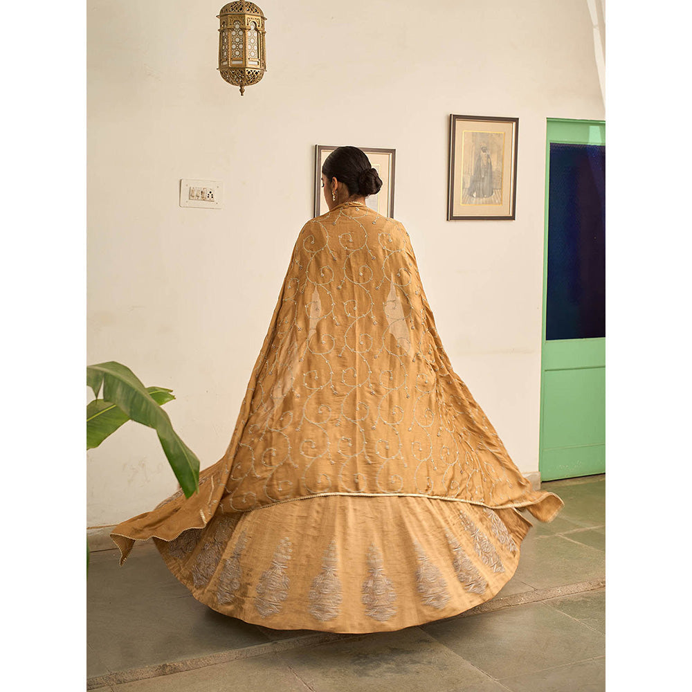 Apeksha Jain Label Gold Suvarna Lehenga with Blouse and Dupatta (Set of 3)
