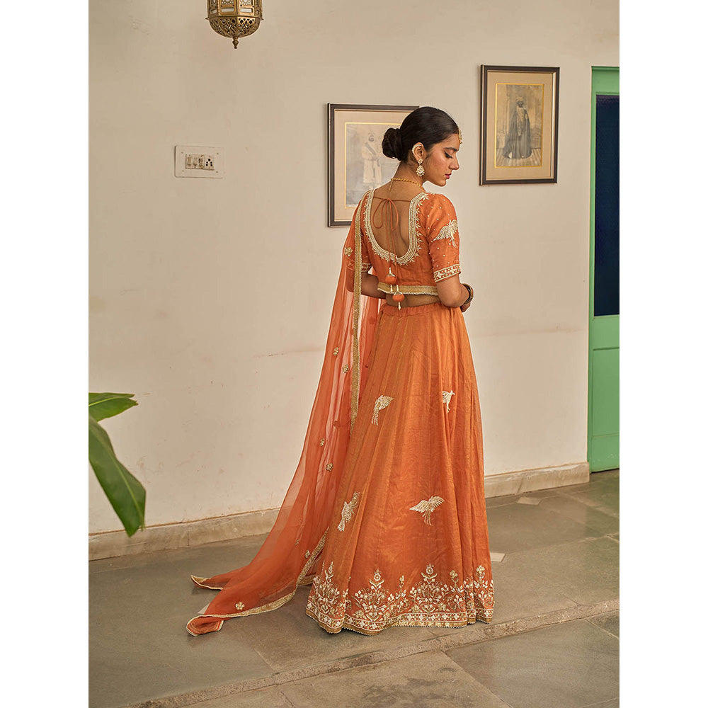 Apeksha Jain Label Orange Malhar Lehenga with Blouse and Dupatta (Set of 3)