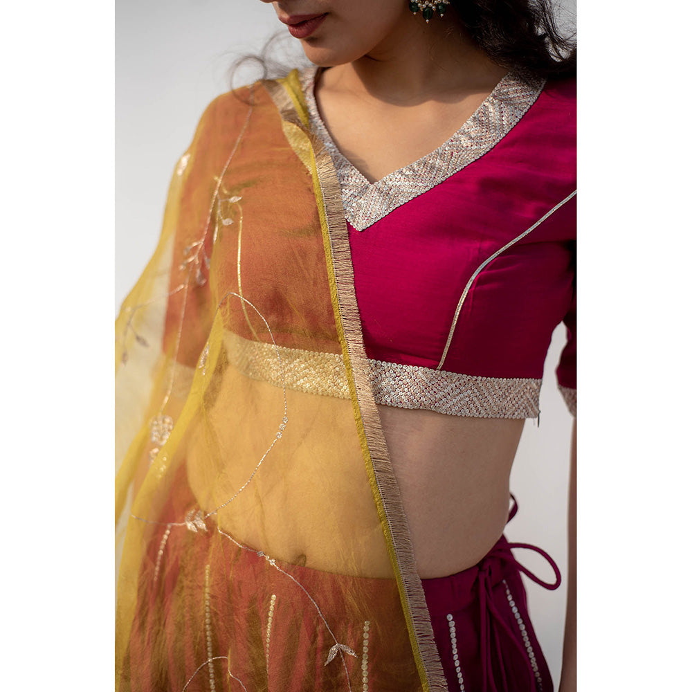 Apeksha Jain Label Wine Lehenga with Blouse and Dupatta (Set of 3)