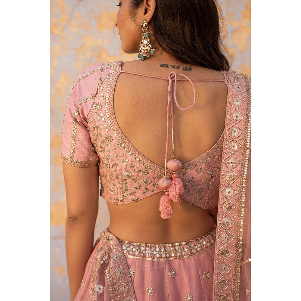 Apeksha Jain Label Pink Lehenga with Blouse and Dupatta (Set of 3)