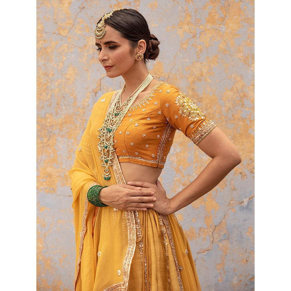 Apeksha Jain Label Mustard Lehenga with Blouse and Dupatta (Set of 3)