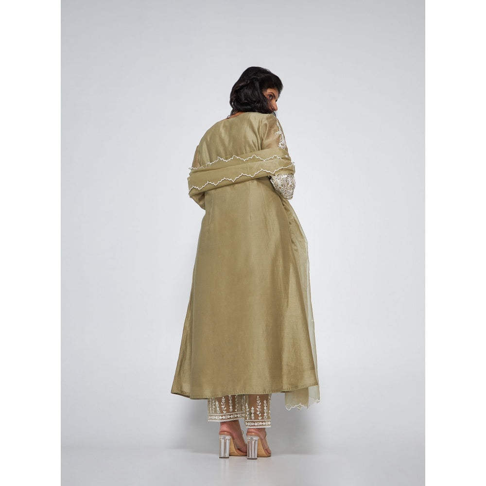 Asaga Caily Mud Chanderi Embroidered Kurta with Pants and Organza Dupatta (Set of 3)