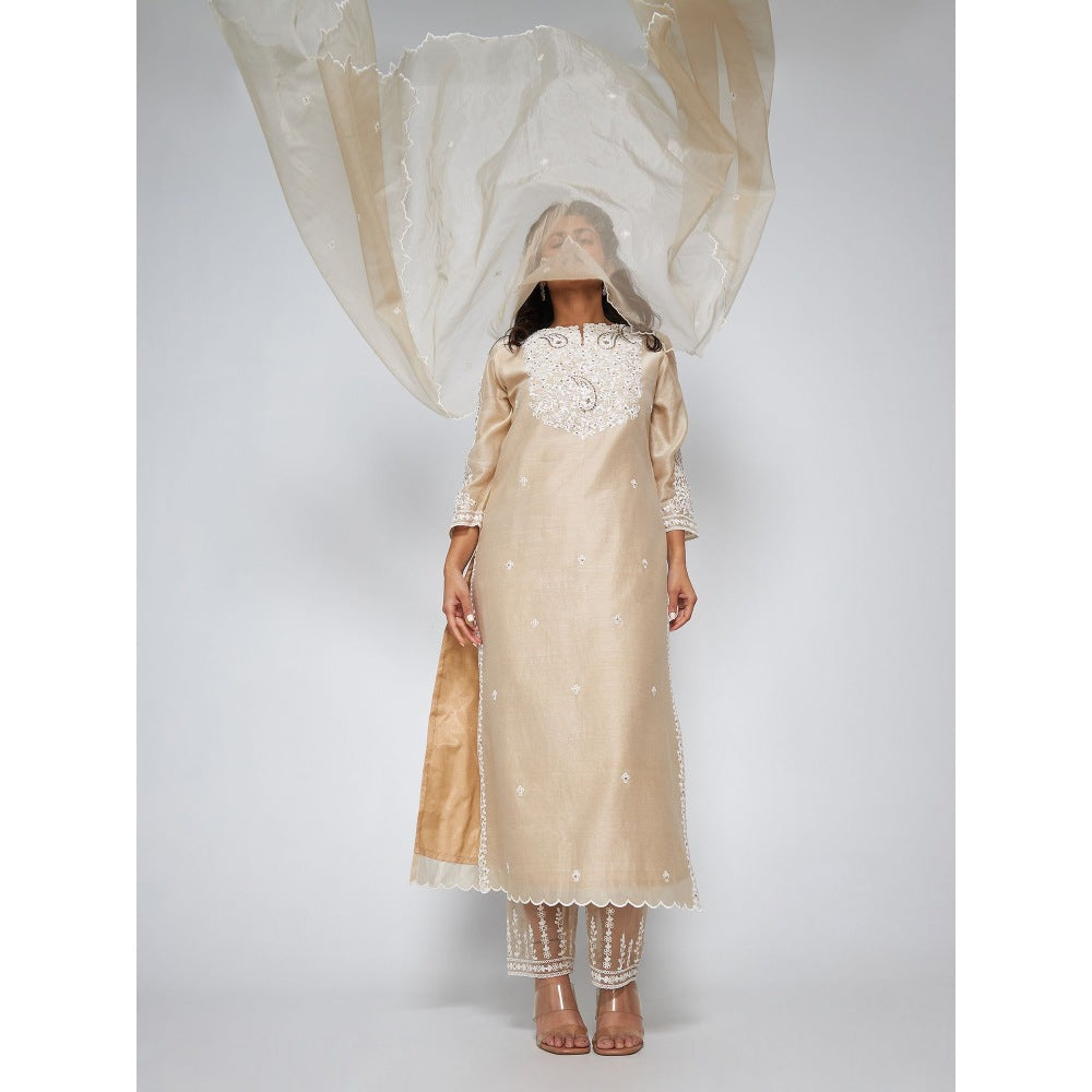 Asaga Zoey Beige Chanderi Embroidered Kurta with Pants and Organza Dupatta (Set of 3)