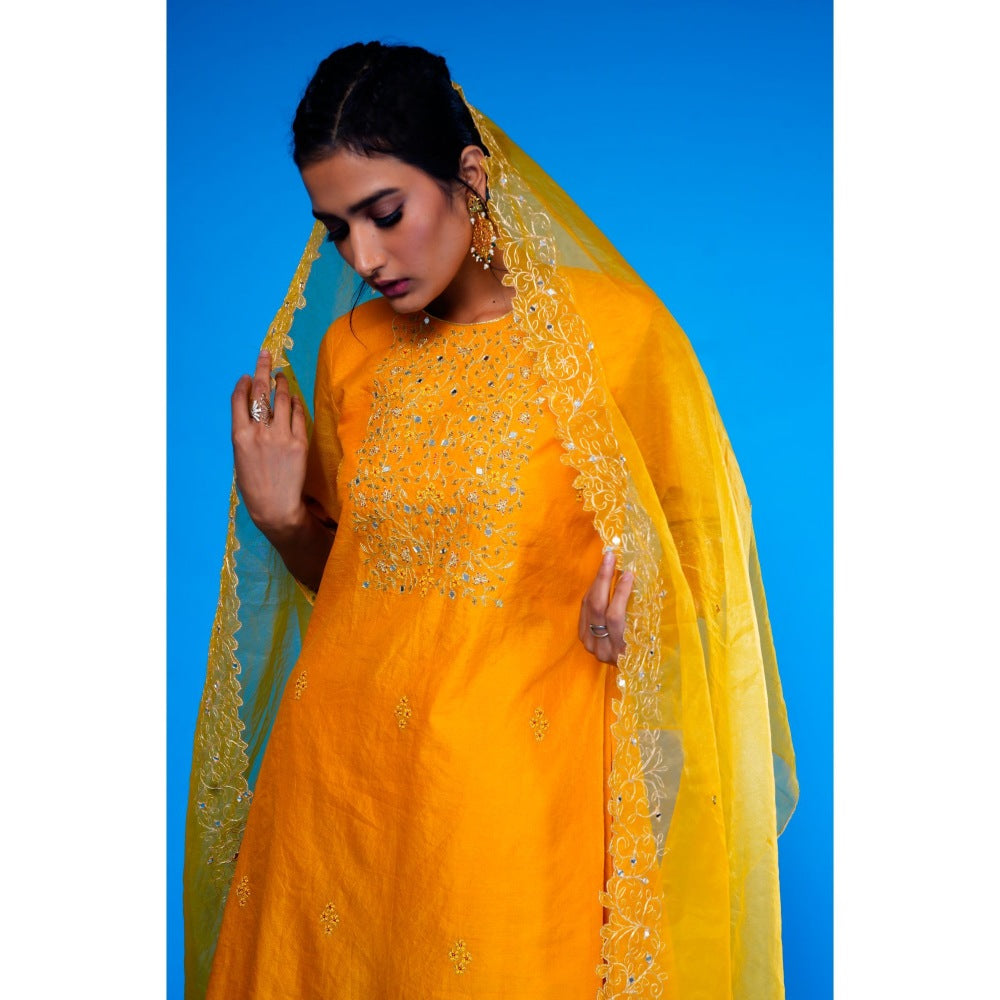 Asaga Mustard Embroidered Kurta with Pants and Organza Dupatta (Set of 3)