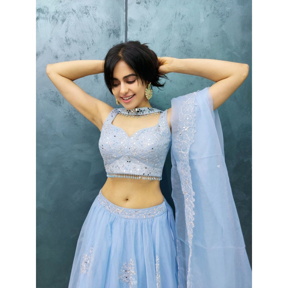 Asaga Baby Blue Embroidered Stitched Blouse with Lehenga and Dupatta (Set of 3)