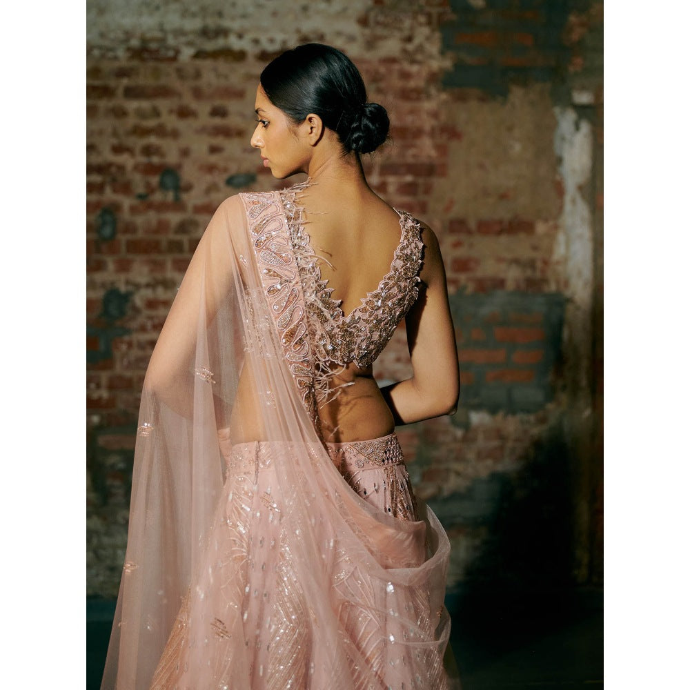 Asaga Rose Gold Swarm Lehenga with Blouse and Dupatta (Set of 3)