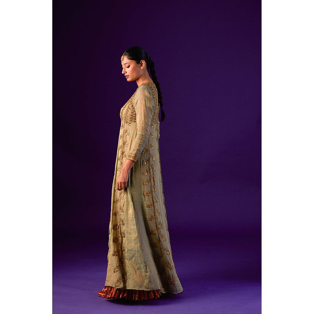 AURUL Light Green Zari Silk Lining Anarkali with Dupatta (Set of 2)