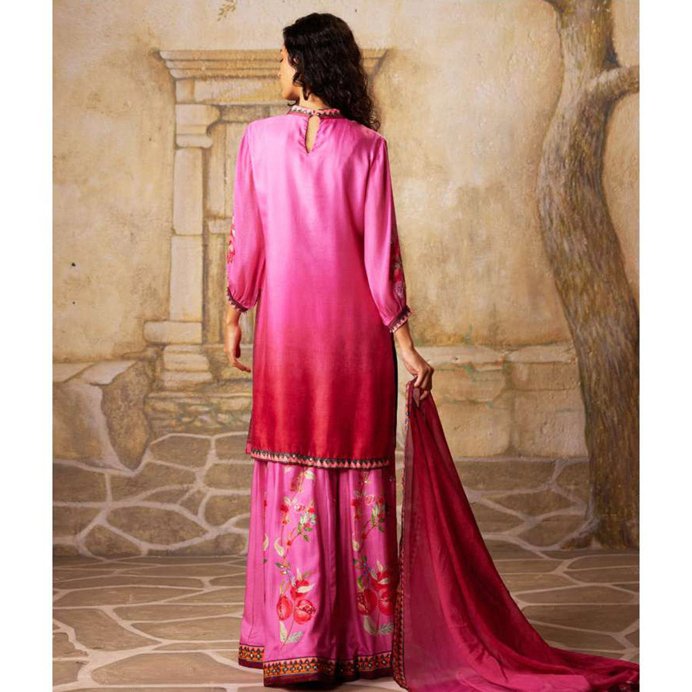 Basil Leaf Pink Sharara with Kurti and Dupatta (Set of 3)