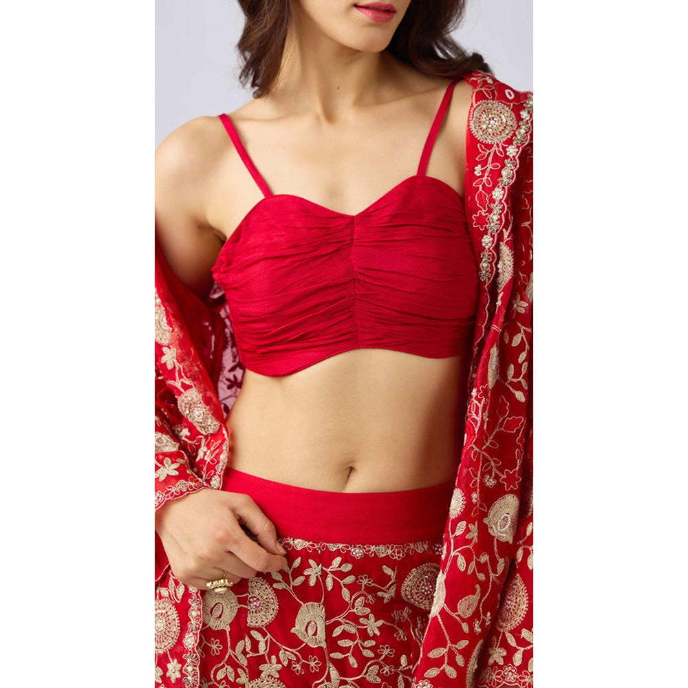 Basanti Kapde aur Koffee Red Chantilly Net Embroidered Co-Ord Set