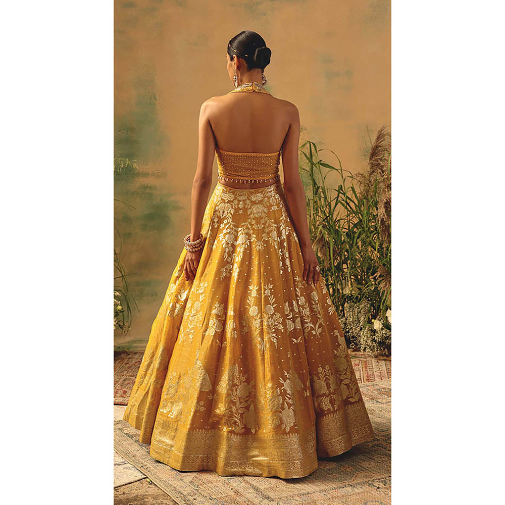 Basanti Kapde aur Koffee The Embers Of Marigold Lehenga with Blouse and Dupatta