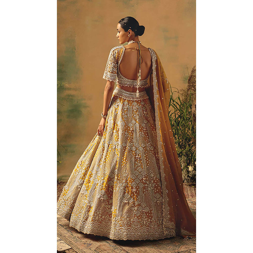 Basanti Kapde aur Koffee The Enchanted Citrine Lehenga with Blouse and Dupatta
