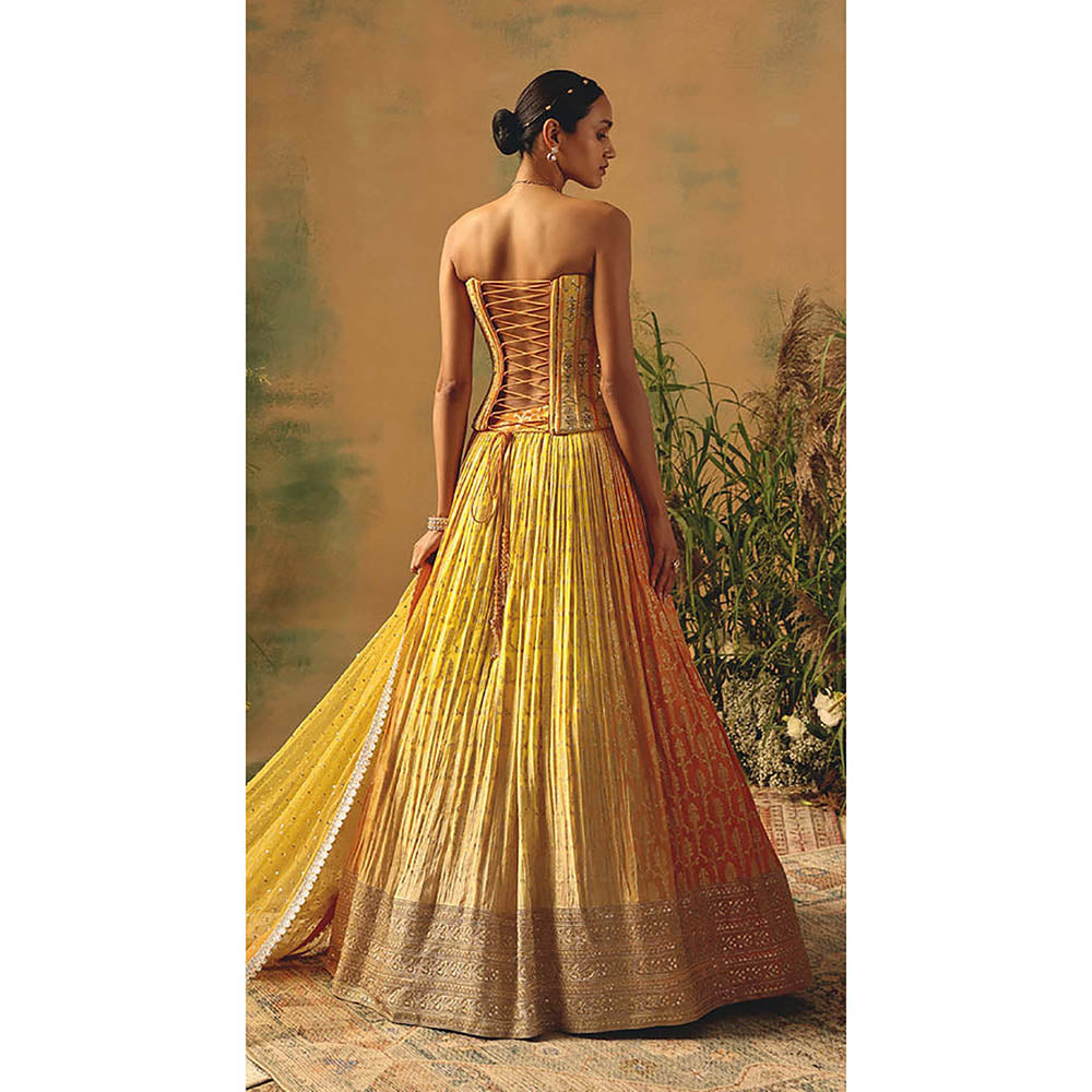 Basanti Kapde aur Koffee The Wild Mariposa Lehenga with Corset Blouse and Dupatta