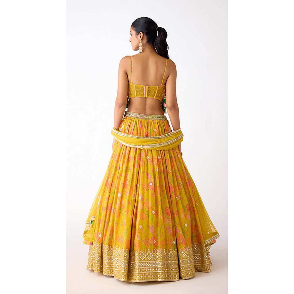 Basanti Kapde aur Koffee The Amber Radiance Lehenga with Blouse and Dupatta