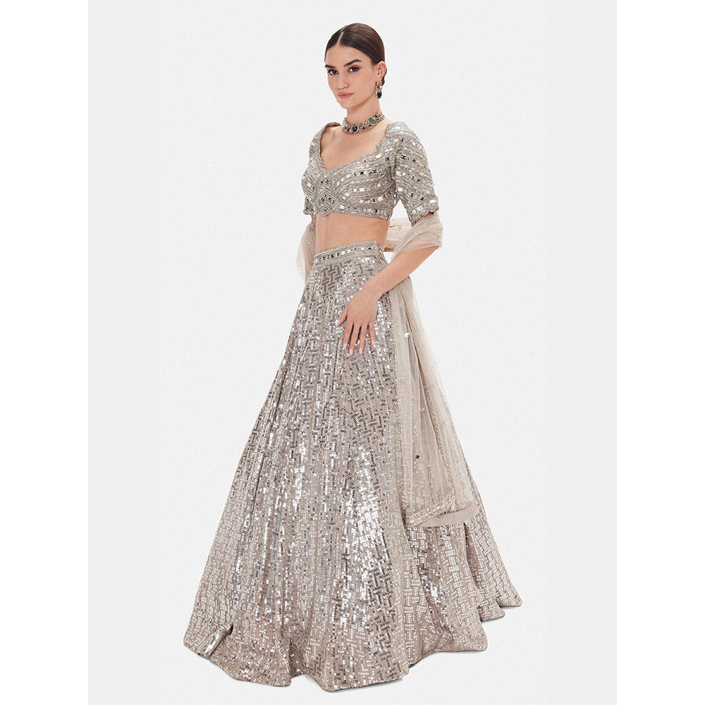 Basanti Kapde aur Koffee The Silver Odyssey Lehenga And Stitched Blouse With Dupatta