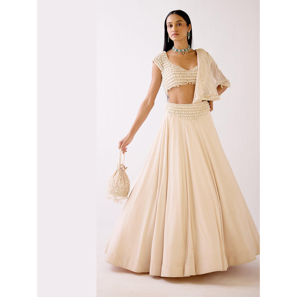 Basanti Kapde aur Koffee The Stardust Pearl Lehenga And Stitched Blouse With Dupatta