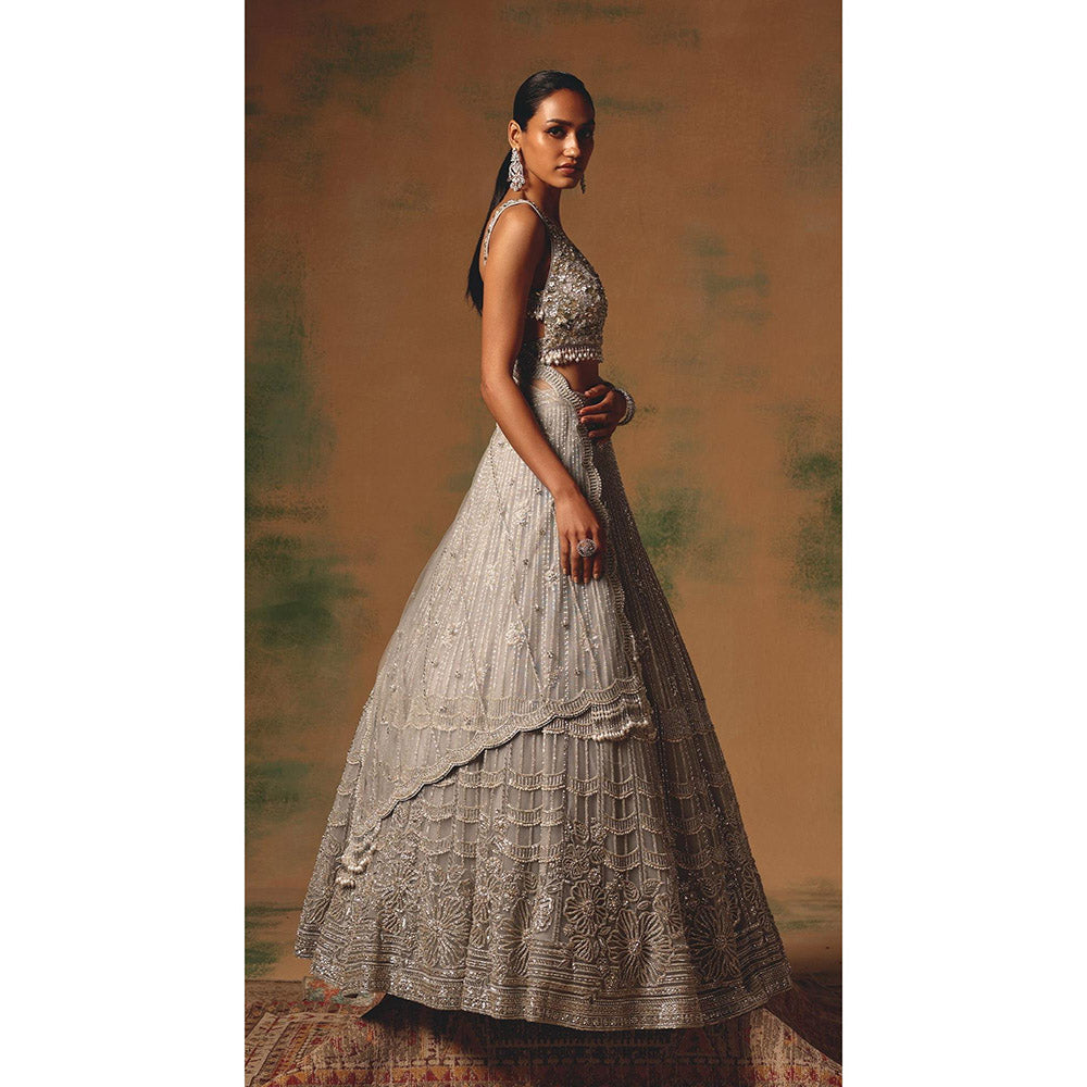 Basanti Kapde aur Koffee The Silvered Dove Lehenga And Stitched Blouse With Dupatta