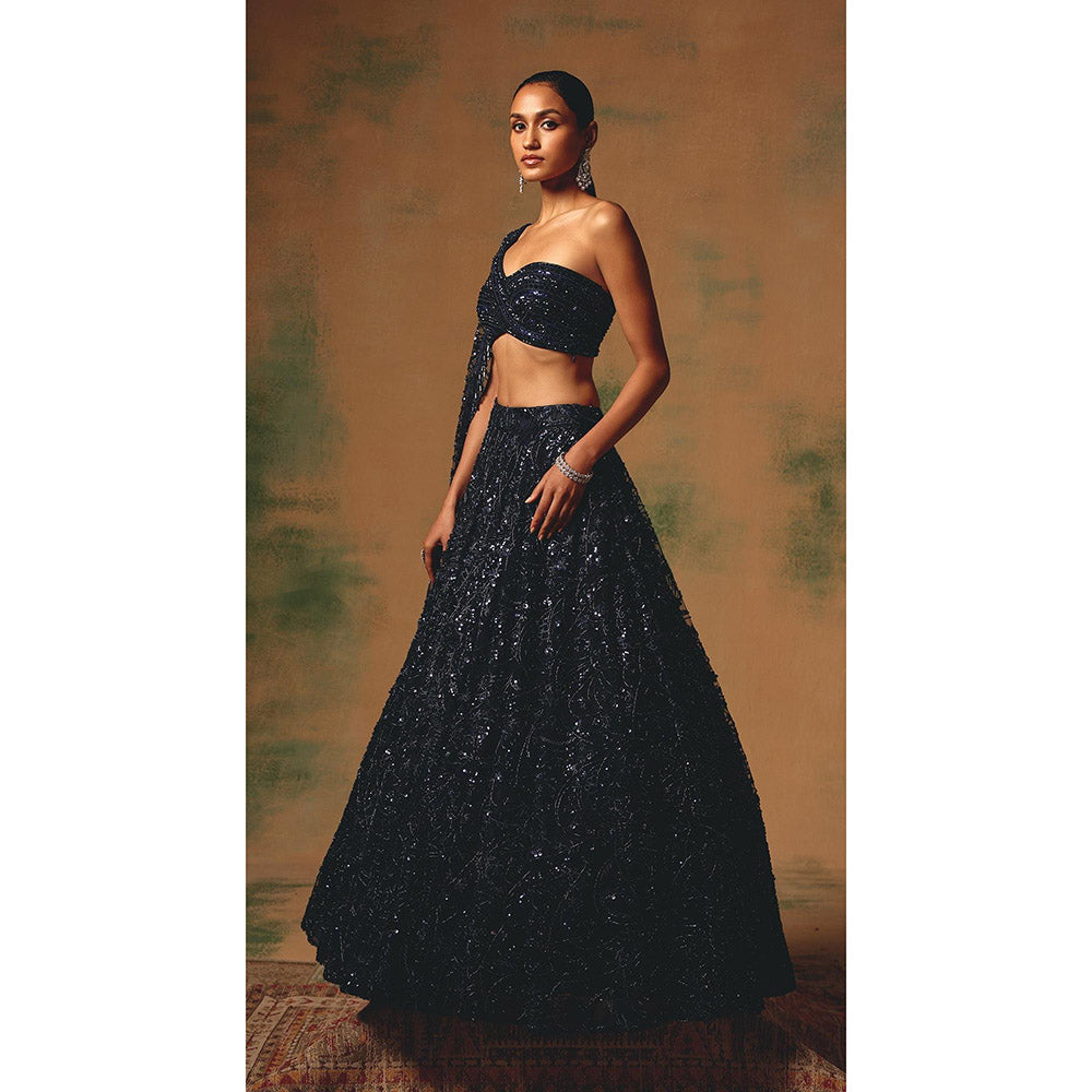 Basanti Kapde aur Koffee The Waltz Of Midnight Lehenga And Stitched Blouse With Dupatta