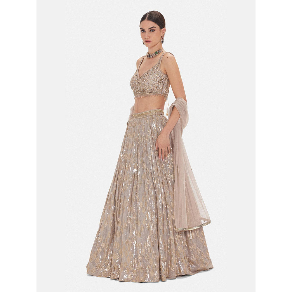 Basanti Kapde aur Koffee The Muted Champagne Lehenga And Stitched Blouse With Dupatta