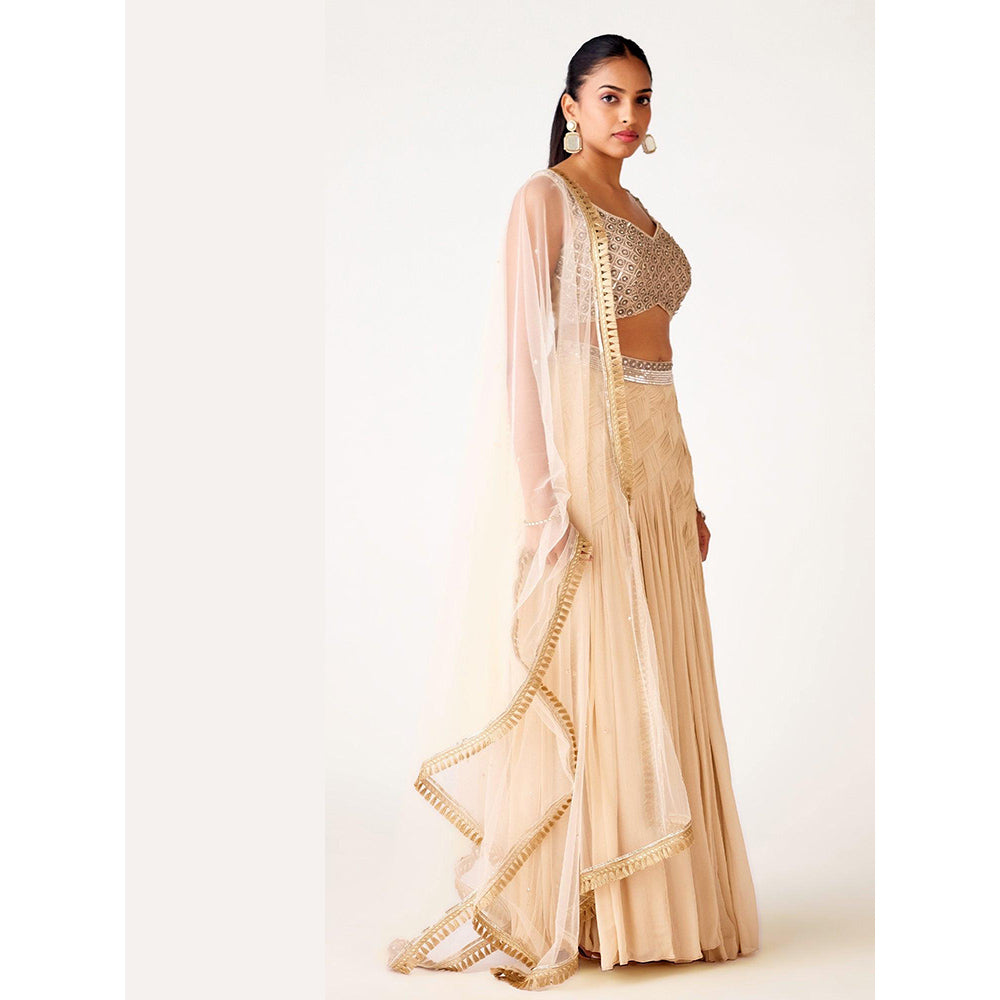 Basanti Kapde aur Koffee Ivory Chinon Embroidered Lehenga And Stitched Blouse With Dupatta