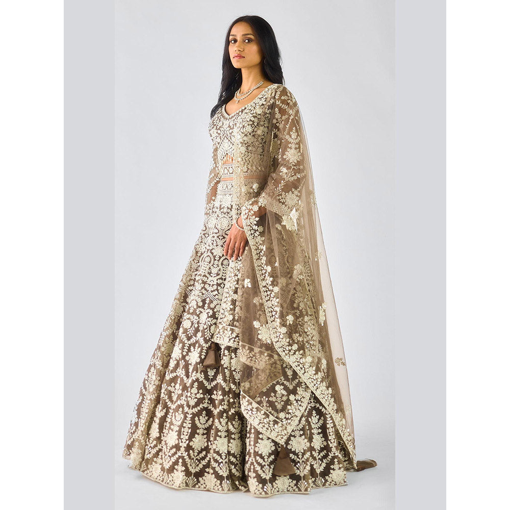 Basanti Kapde aur Koffee Olive Lehenga And Stitched Blouse With Dupatta