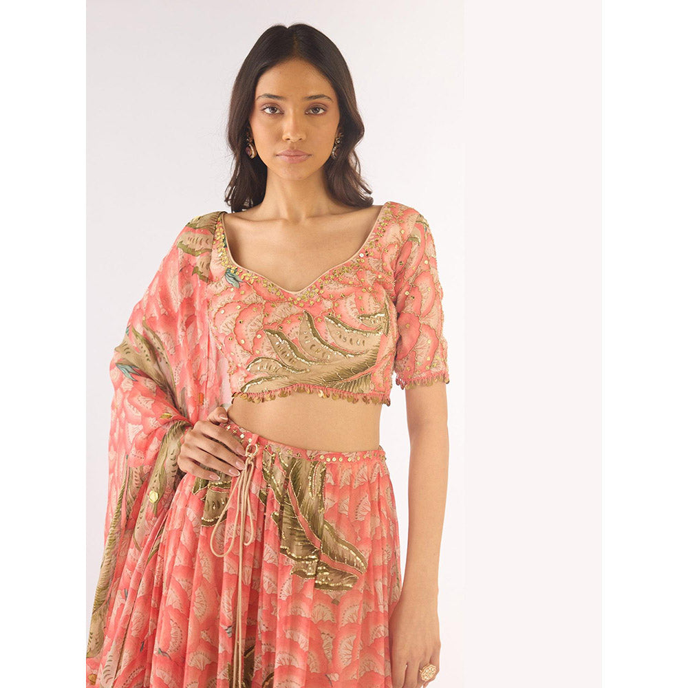 Basanti Kapde aur Koffee Peach Organza Embroidered Lehenga And Stitched Blouse With Dupatta