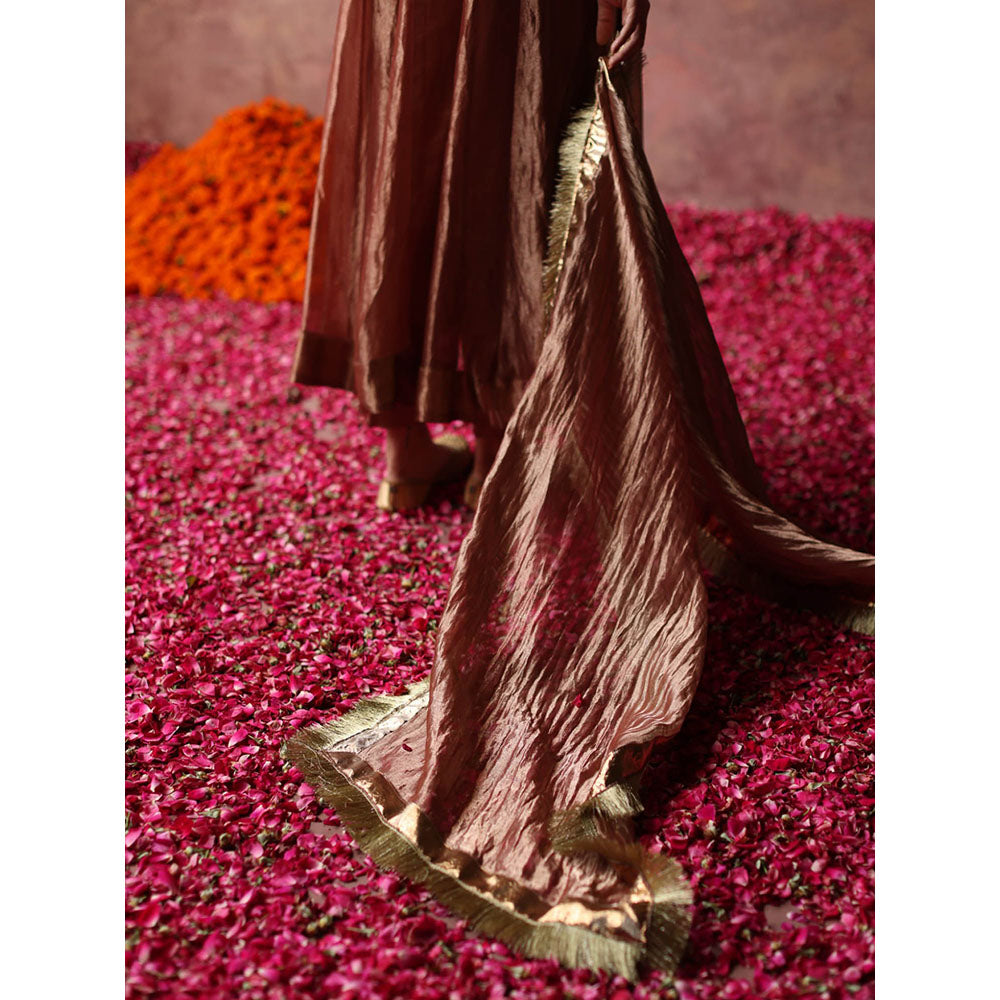 Begum Pret Zaahra Rose Gold Kurta (Set of 3)