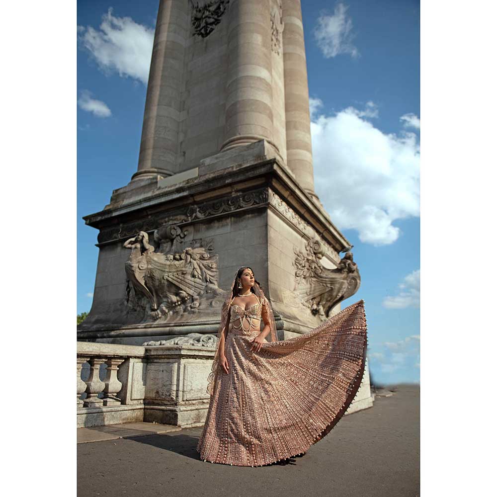 Jigar and Nikita Brown Lehenga with Blouse and Dupatta (Set of 3)