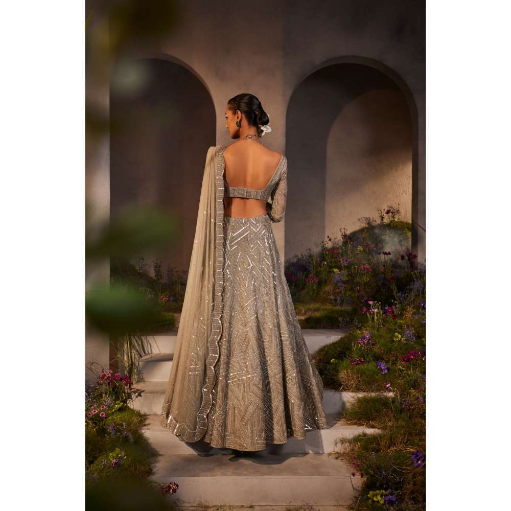 CHARU AND VASUNDHARA Lilian Silver Grey Classic Lehenga with Blouse & Dupatta (Set of 3)