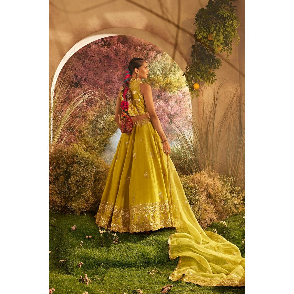 CHARU MAKKAR Mustard Blouse with Lehenga & Dupatta (Set of 3)